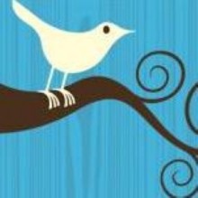 While a series of interesting reports detailed the value of various web marketing channels, two announcements from Twitter may be the most important news to break this week, as the company changed its layout and social media marketing offerings heavily.