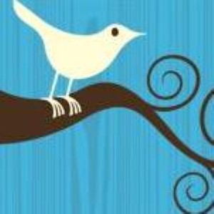 While a series of interesting reports detailed the value of various web marketing channels, two announcements from Twitter may be the most important news to break this week, as the company changed its layout and social media marketing offerings heavily. While a series of interesting reports detailed the value of various web marketing channels, two announcements from Twitter may be the most important news to break this week, as the company changed its layout and social media marketing offerings heavily.
