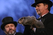 Punxsutawney Phil is not the easiest worst to spell, but Google searchers could've tried a little harder on Thursday.