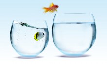 CMI made some predictions about content marketing trends for 2012, but did they come to fruition?