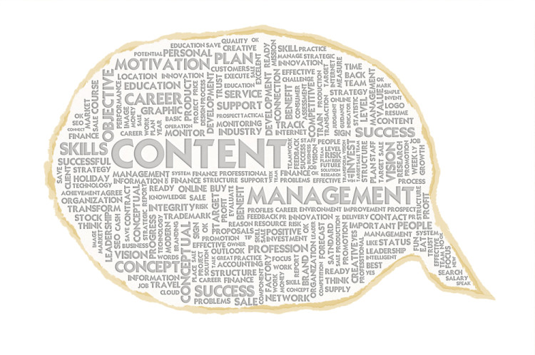 Content Marketing key to success in 2013 and beyond