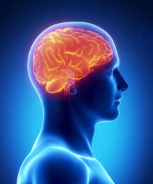 A new Nielsen study suggests neuroscience data shows marketers when their video ads are working and where they need to trim the fat. 